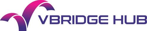 vbridgehub