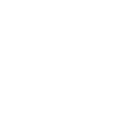US GOV icon